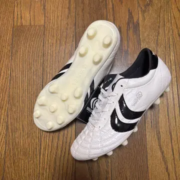 YASUDA 리가레스타 PRO 25.0