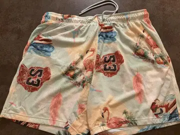 Jordan 플라밍고 패턴 숏팬츠 XL