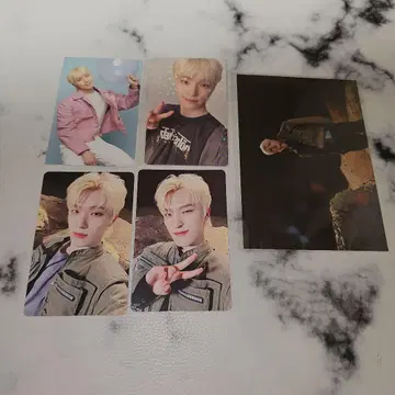 183 세븐틴 디노 ALWAYS YOURS 포토카드 세트 1