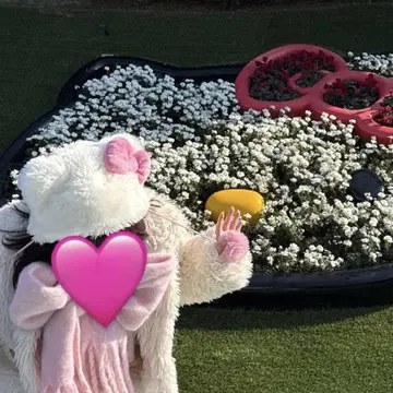 키티 팬캡 키티 헬로키티