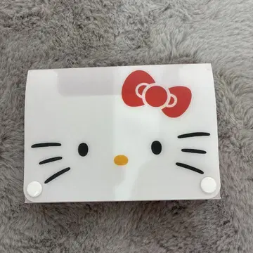 헬로키티 플라스틱 케이스
