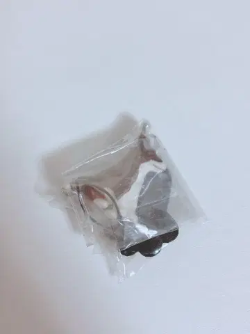 닌텐독스 클리너 스트랩