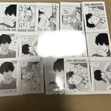 기븐전 파샤코레 프리미엄 히이라기 야기