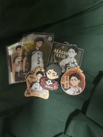 하이큐 아카아시 케이지