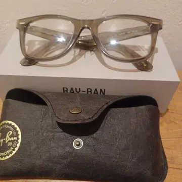 Ray-Ban Wayfarer 안경 케이스 포함