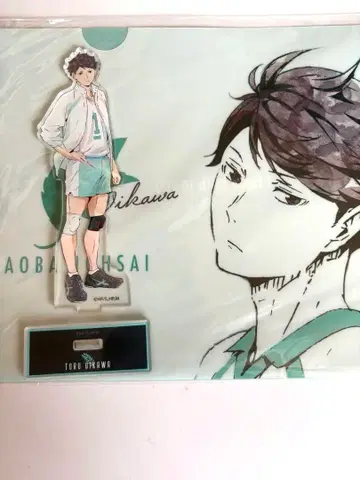 오이카와 토오루 아크릴 스탠드 아오바죠사이 클리어 파일