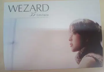 ZARD 사카이 이즈미 팬클럽 [ WEZARD ]