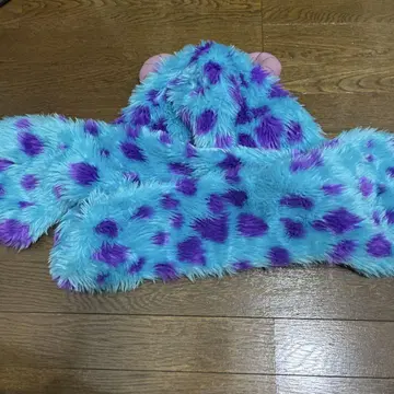 샐리 팬캡 디즈니