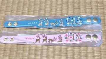 요루시카 전생 러버밴드 (라바반) 한정판 보통 2종 세트