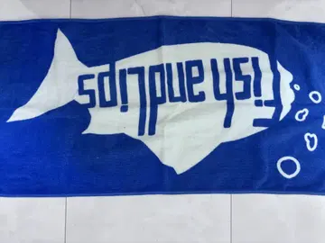 피슈리 타월