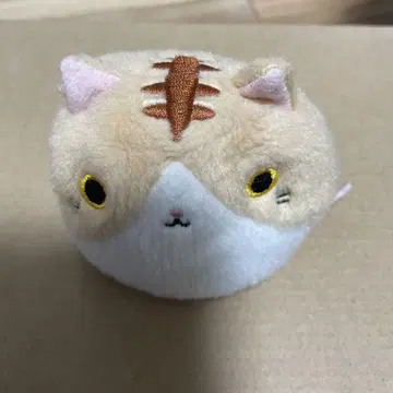 고양이 당고 아메쵸챠 삼영무역