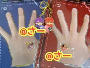 [ 6개 세트 ] 우라시마사카타센 할로파 2025 시마사카 세트