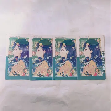 프로세카 에피카 금박 시로이시 안 23C
