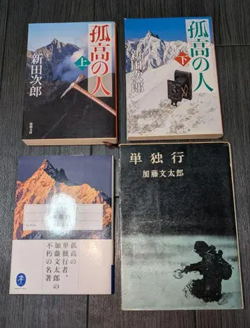 카토 분타로 소설