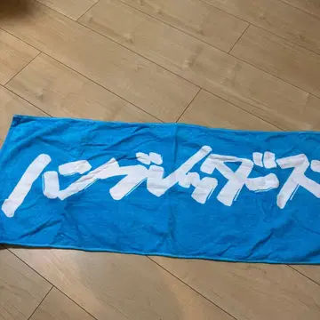 햄브레더즈 타월