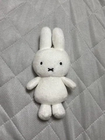 미피 마스코트 옷 갈아입기