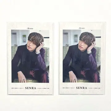 센라 폴라로이드 랜덤 미니 포토 카드 Brun