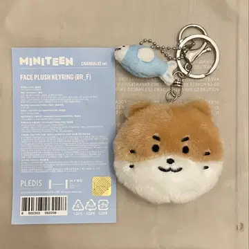 공식 MINITEEN 찬다리 페이스 스플래쉬 키링