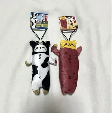 신출시 늘어나는 고양이 2세트 아와지 한정판
