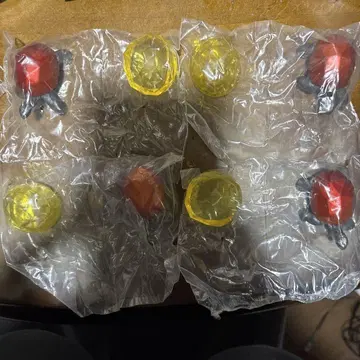 생물 x 보석3 코끼리거북 x 앰버