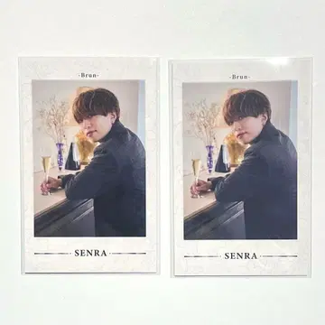 센라 폴라로이드 랜덤 미니 포토 카드 미니 포토 카드 Brun