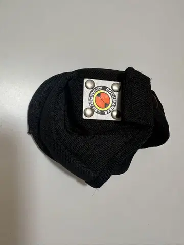 록맨 에그제 어드밴스드 반려동물 케이스