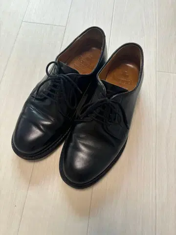 버윅 5하프