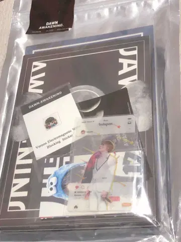 SEVENTEEN 버논 DVD 세트 마스터 PlanV님