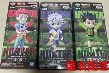 HUNTER x HUNTER 월드 컬렉터블 피규어 헌터 시험