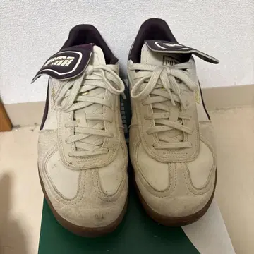 Puma 팔레르모 프리미엄 스니커즈 베이지/퍼플