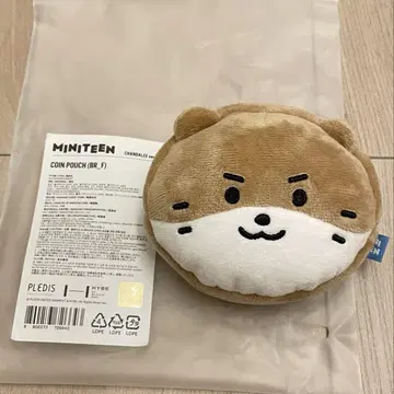 공식 MINITEEN 찬다리 코인 파우치 2