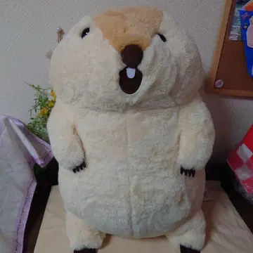 마모트의 마토토 봉제 인형 BIG!