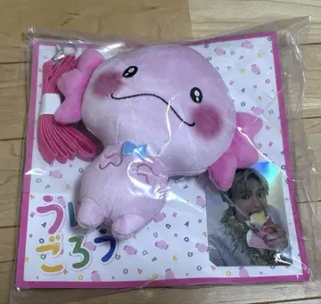 우파고로 패스 케이스