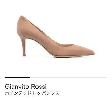 Gianvito Rossi 스틸레토 펌프스