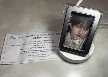 StrayKids STAY JAPAN 갱신 혜택 멀티 캔 케이스