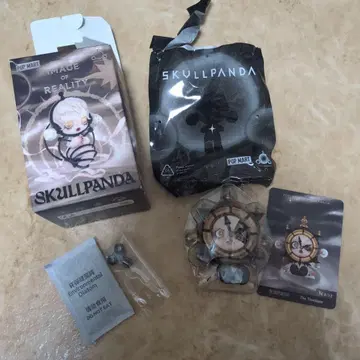 POPMART SKULLPANDA The Timelapse 팝마트