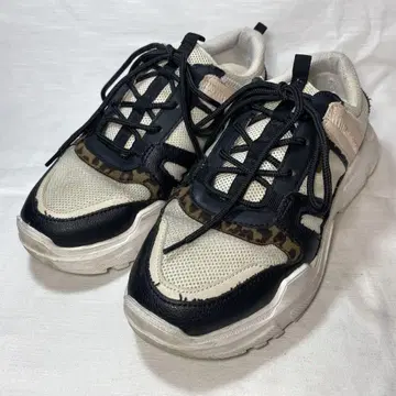 MAZELL 마젤 스니커즈 LL 24.5cm