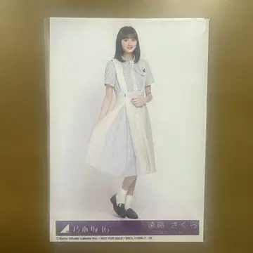 노기자카46 엔도 사쿠라 브로마이드