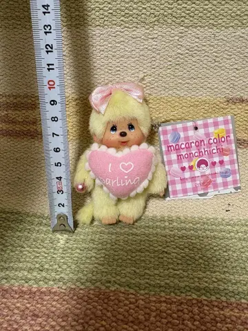 마카롱 컬러 몽치치