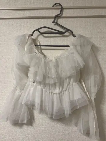 프릴 장식 시스루 블라우스