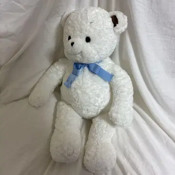 패밀리 베어 L?