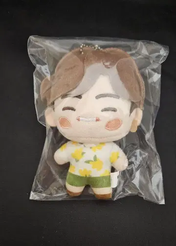 인 더 섬 IslandintheSEOM 봉제 인형 테테 V 김태현