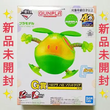 할로플라 할로 솔리드 클리어 G상