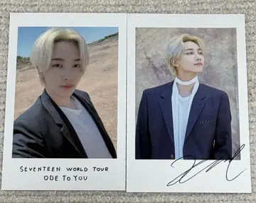 SEVENTEEN 정한 ode to you 폴라로이드