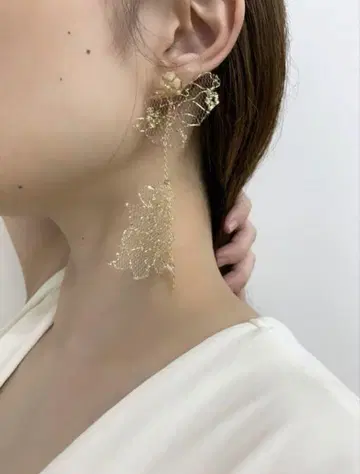 liqui 안개꽃 락튀르 귀찌