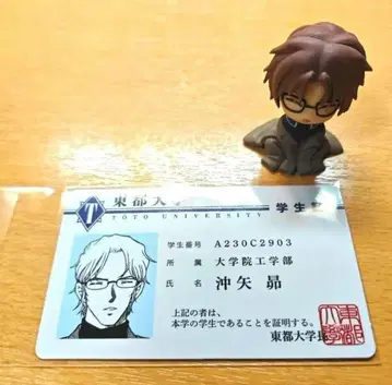 치지마세타이 5 최수현