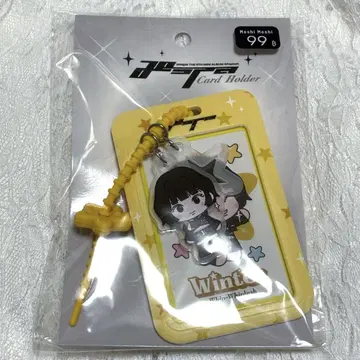 aespa whiplash 태국 트레이딩 카드 케이스 카드 홀더 윈터