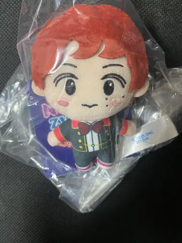 NCT CCOMAZ 해찬 마스코트 봉제 인형 NCT127