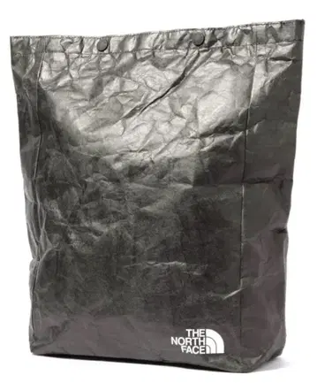 THE NORTH FACE 블랙 테크 페이퍼백