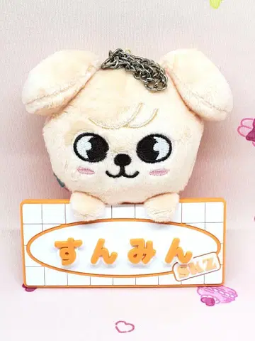 Stray Kids 승민 퍼핌 네임 백참 TOYWORLD